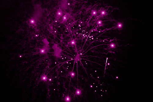 Firework Light Orbs Free Falling After Explosion (Pink Shade Photo)