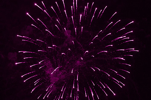 Firework Star Trails Vaporize Among Night Sky (Pink Shade Photo)