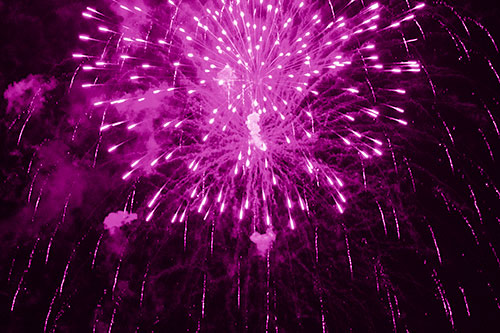 Fireworks Explosion Lights Night Sky Ablaze (Pink Shade Photo)