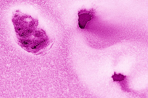 Footprint Eye Snow Face Atop Rock Surface (Pink Shade)