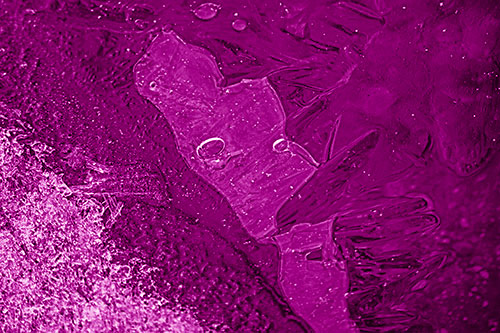 Frozen Bubble Eyed Ice Face Figure Along River Shoreline (Pink Shade Photo)
