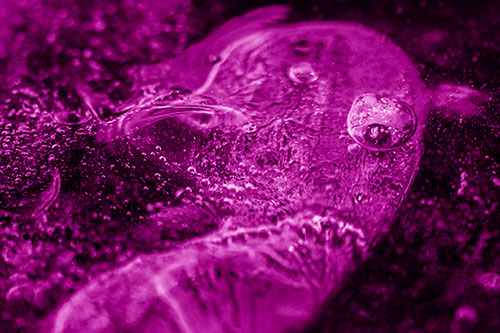 Frozen Distorted Bubble Eyed Ice Face (Pink Shade Photo)