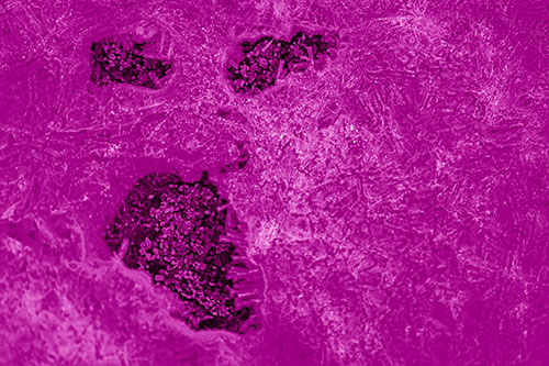 Frozen Ice Screaming Pebble Soil Face (Pink Shade)