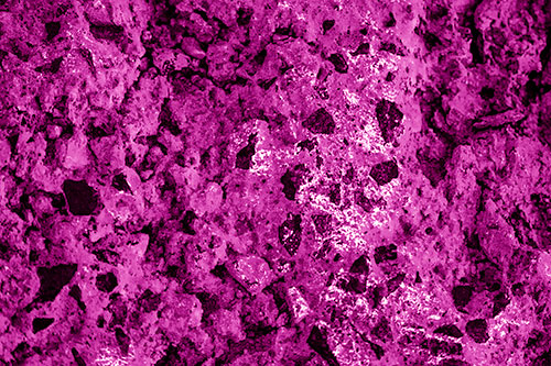 Fungi Covers Rugged Surfaced Stone (Pink Shade Photo)