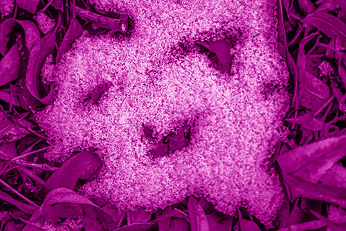 Happy Snow Face Among Dead Twisted Leaves (Pink Shade)