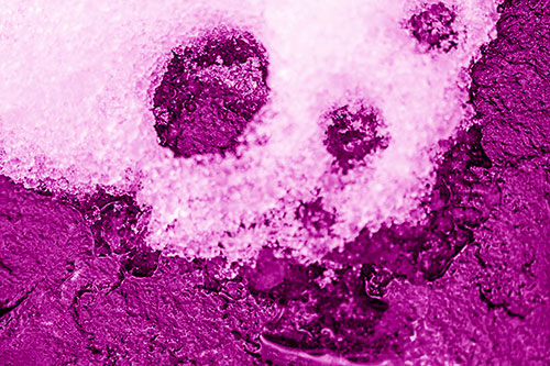 Ice Skull Snow Face Melting Atop Rock (Pink Shade)