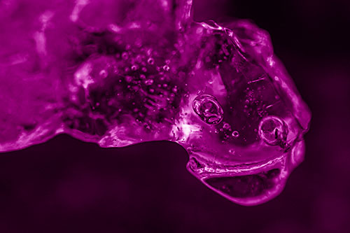 Joyful Frozen Bubble Eyed River Ice Face Creature (Pink Shade Photo)