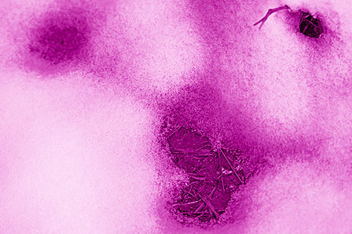 Joyful Soil Face Appears Beneath Melting Snow (Pink Shade)