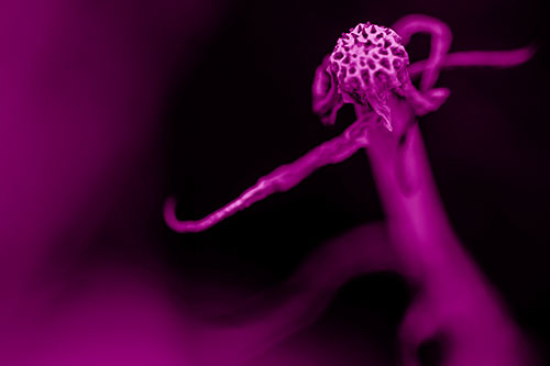Kung Fu Gumplant Figure Punching Among Wind (Pink Shade)