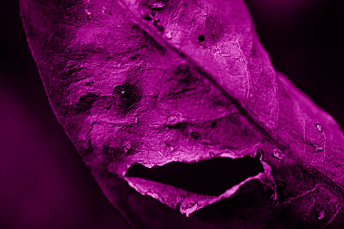 Lacerated Mouth Leaf Face Smirking Among Decay (Pink Shade)