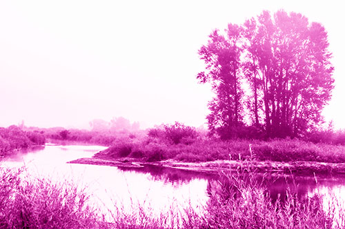 Large Foggy Trees At Edge Of River Bend (Pink Shade Photo)