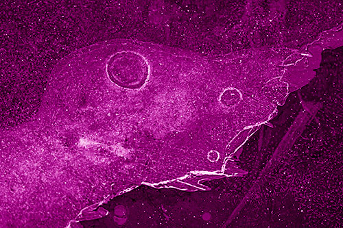 Large Headed Bubble Eyed Ice Face Frozen Among River (Pink Shade)