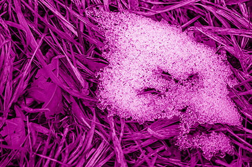 Miserable Slanted Grass Eyed Snow Face (Pink Shade)