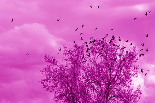 Murder Of Crows Swarm Autumn Tree (Pink Shade)