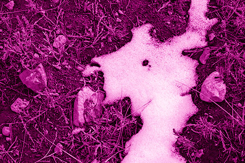 Peering Humanoid Snow Face Creature Among Rocks (Pink Shade Photo)