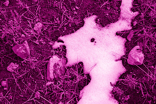Peering Humanoid Snow Face Creature Among Rocks (Pink Shade)