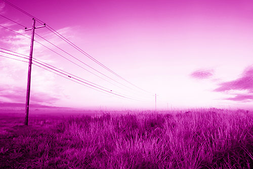 Powerlines Descend Among Foggy Prairie (Pink Shade Photo)