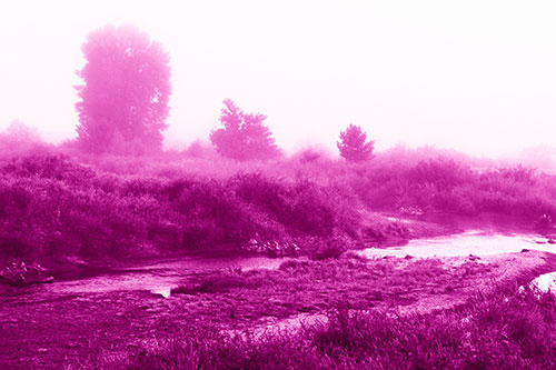 River Flowing Along Foggy Vegetation (Pink Shade Photo)