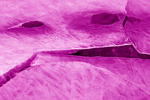Rock Face Emerges Among Cracked Frozen Ice (Pink Shade)