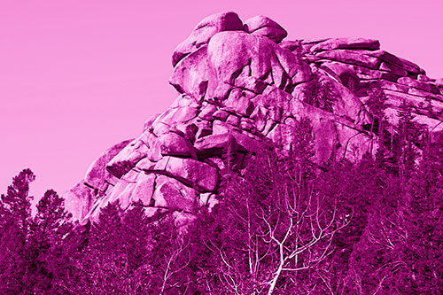 Rock Formations Rising Above Treeline (Pink Shade Photo)