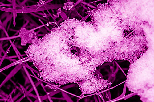 Sad Melting Grass Tangled Snow Face (Pink Shade)
