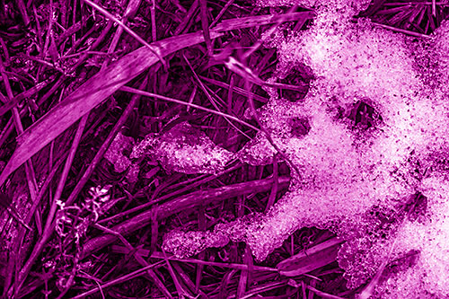Sad Mouth Melting Ice Face Creature Among Soggy Grass (Pink Shade Photo)
