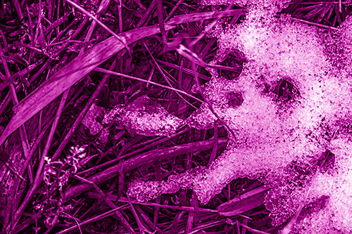 Sad Mouth Melting Ice Face Creature Among Soggy Grass (Pink Shade)