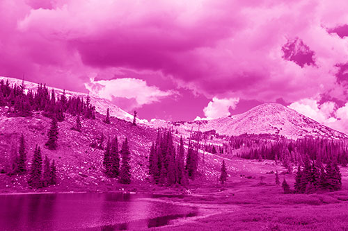 Scattered Trees Along Mountainside (Pink Shade Photo)