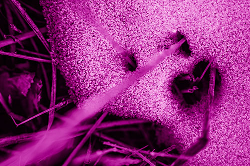 Screaming Illuminated Grass Piercing Snow Face (Pink Shade)