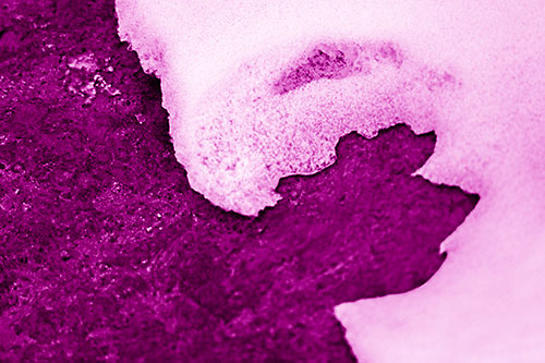 Screaming Snow Face Slowly Melting Atop Rock Surface (Pink Shade)