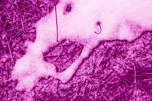 Screaming Stick Eyed Snow Face Among Grass (Pink Shade)