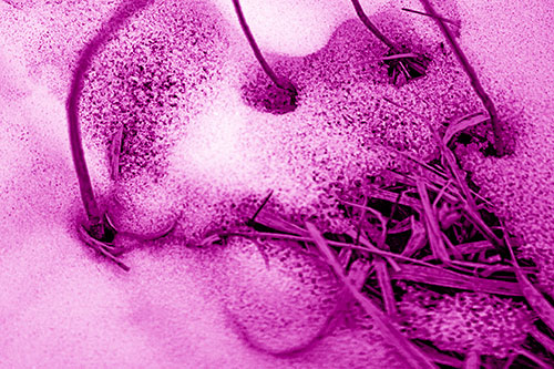 Screaming Twisted Grass Face Piercing Through Snow (Pink Shade)