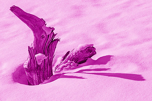 Shadow Casting Tree Trunk Waving Among Snow (Pink Shade)