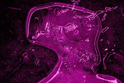 Shattering Ice Head Cracking Smile Along Shore (Pink Shade)