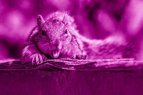 Sleepy Squirrel Yawning Among Rooftop (Pink Shade)