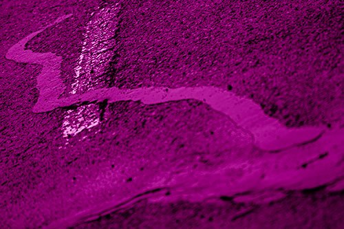 Slithering Tar Creeps Over Pavement Marking (Pink Shade Photo)