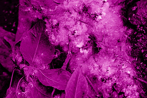 Smiling Cotton Stick Face Among Fallen Leaves (Pink Shade)