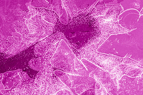 Smug Ice Face Among Frozen River Water (Pink Shade)