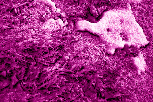 Snowy Grass Forming Demonic Horned Creature (Pink Shade Photo)