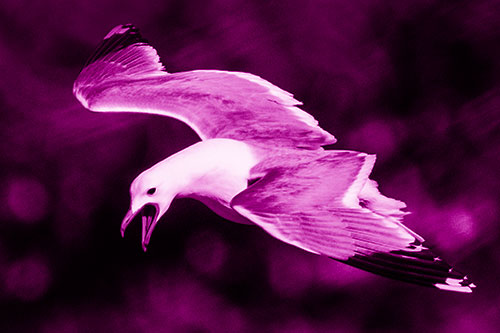 Squealing Seagull Spots Creature Among Lake Below (Pink Shade)