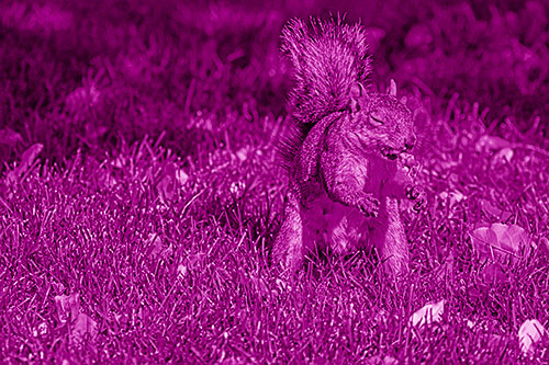 Squirrel Enjoying Breakfast Among Fallen Autumn Leaves (Pink Shade)