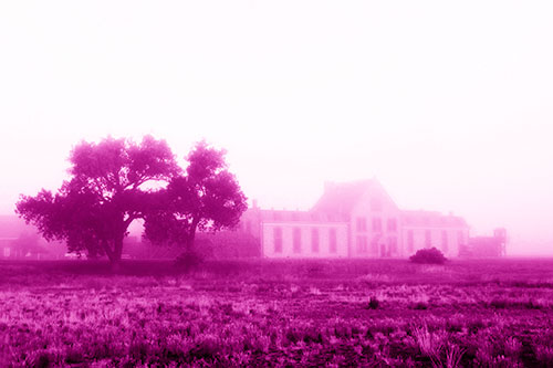 State Penitentiary Glowing Among Fog (Pink Shade Photo)