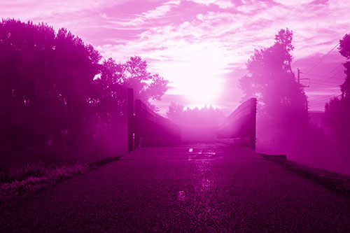 Sun Rises Beyond Foggy Wooden Walkway Bridge (Pink Shade Photo)