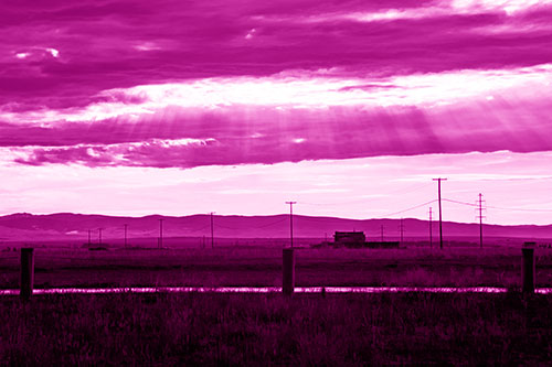 Sunlight Bursts Powerline Horizon After Rainstorm (Pink Shade Photo)
