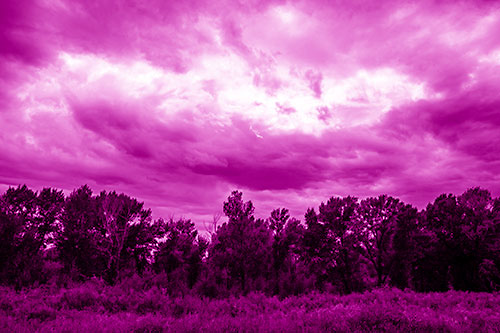 Thunderstorm Clouds Brewing Above Tree Line (Pink Shade)