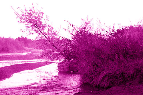 Tilted Fall Tree Over Flowing River (Pink Shade Photo)