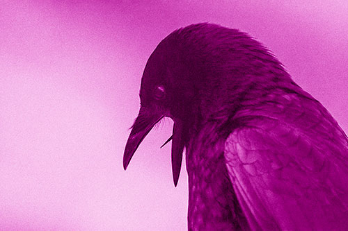 Tongue Curling Crow Cawing Downward (Pink Shade)