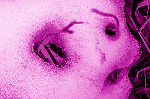 Twisting Grass Eyed Snow Face (Pink Shade)