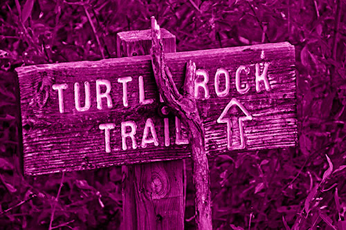 Wooden Turtle Rock Trail Sign (Pink Shade Photo)