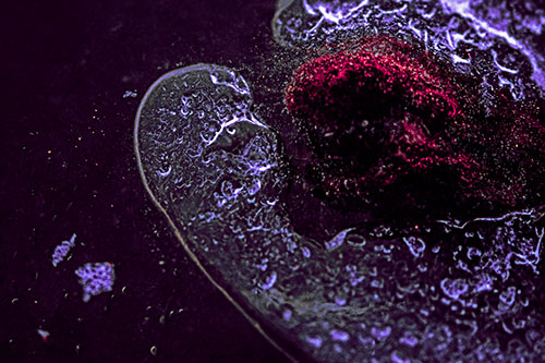 Angry Eyebrow Raised Ice Bubble Creature Bending Beside Mossy Rock (Pink Tint)